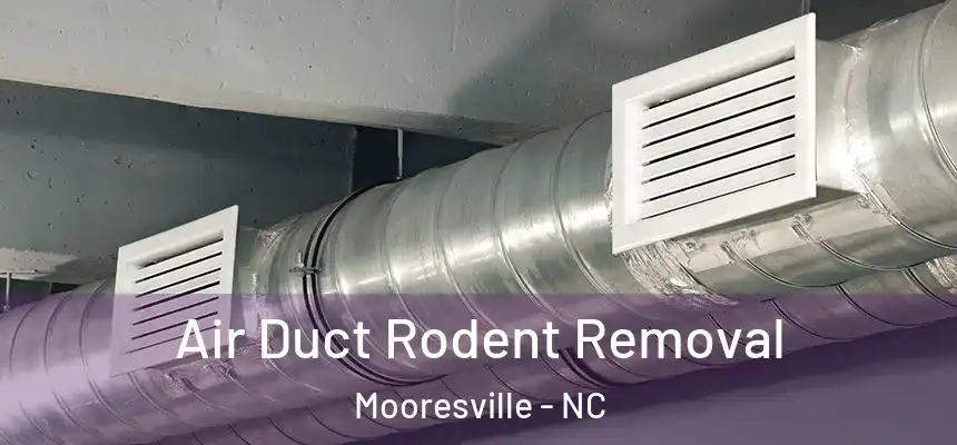  Air Duct Rodent Removal Mooresville - NC