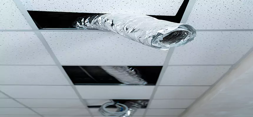 Affordable HVAC Sanitizing After Pest Removal in Mooresville