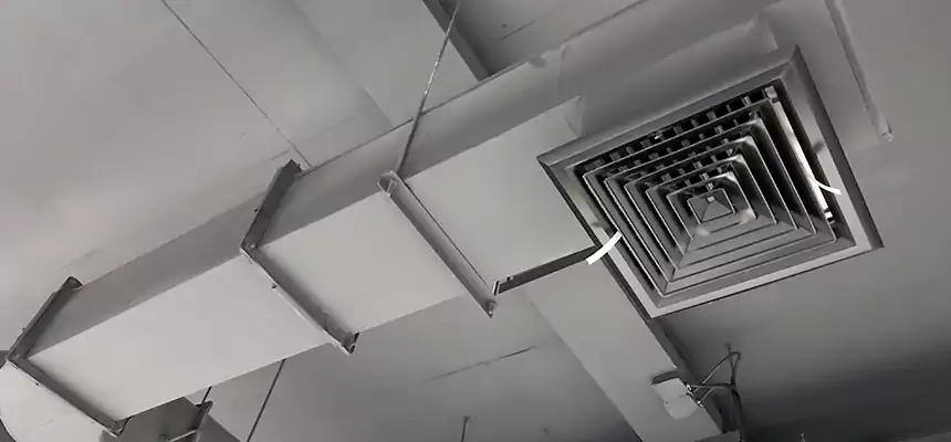 Our Pest Removal From Ducts Services in Mooresville, NC