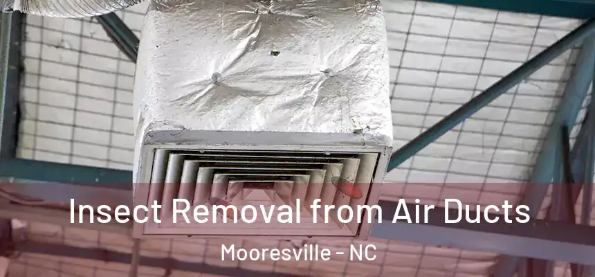  Insect Removal from Air Ducts Mooresville - NC