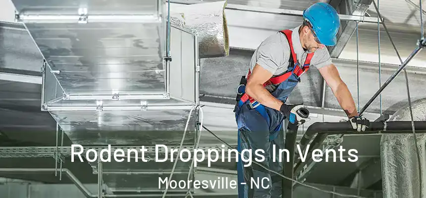  Rodent Droppings In Vents Mooresville - NC