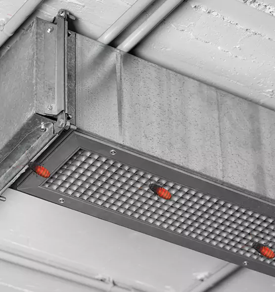 About Air Duct Cockroach Removal in Mooresville, NC