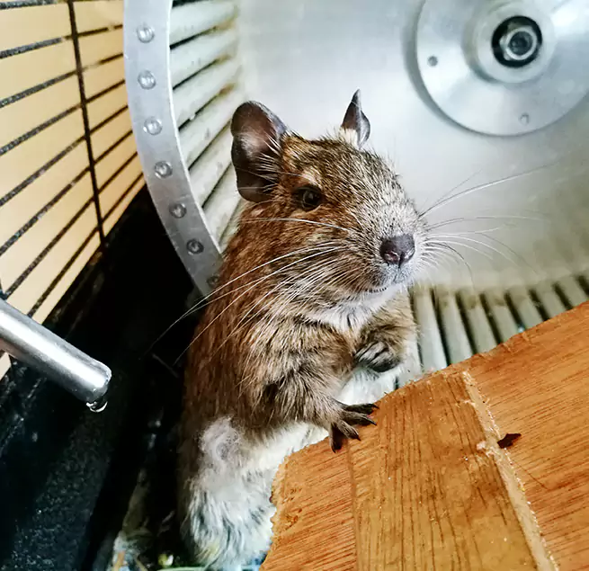 Why Homeowners & Businesses Trust Us Mooresville, NC