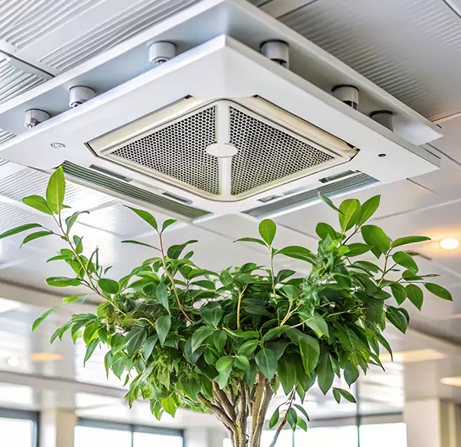 Why Homeowners & Businesses Trust Us in Mooresville, NC?